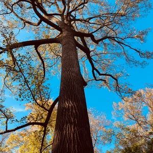 Meet your Posher, Elle